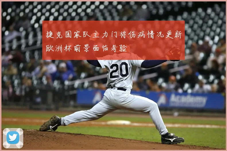 捷克国家队主力门将伤病情况更新欧洲杯前景面临考验