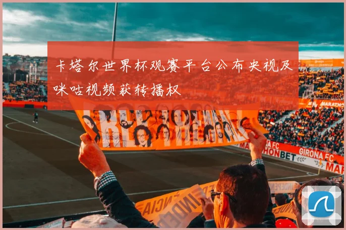 卡塔尔世界杯观赛平台公布央视及咪咕视频获转播权