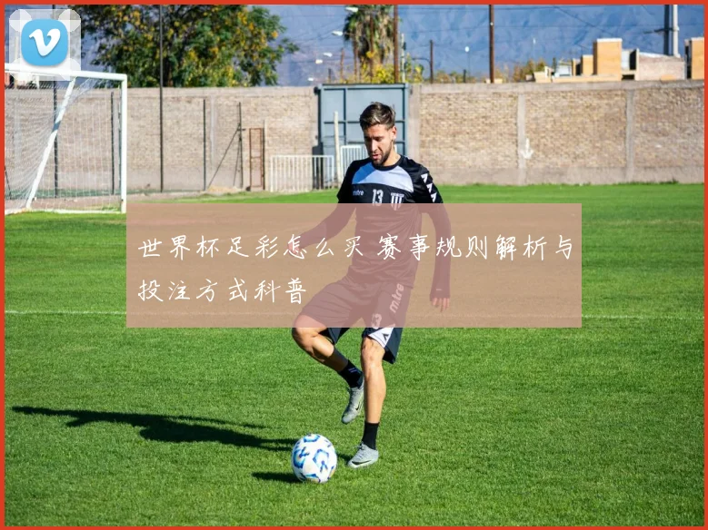 世界杯足彩怎么买 赛事规则解析与投注方式科普