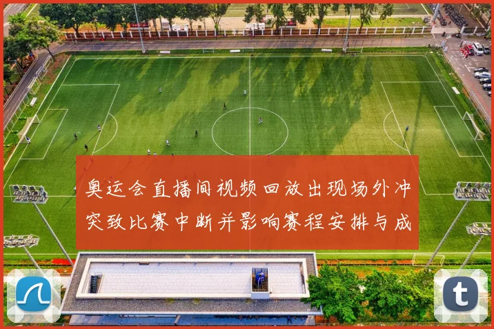 奥运会直播间视频回放出现场外冲突致比赛中断并影响赛程安排与成绩认定