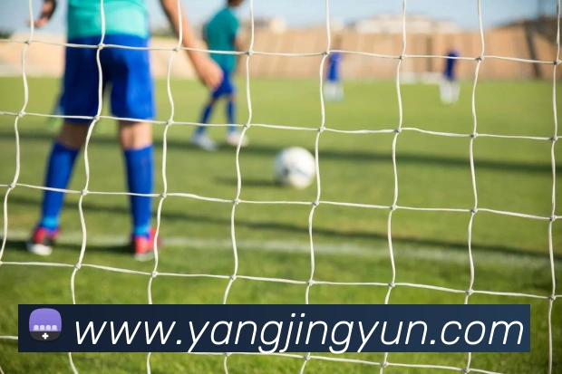 必一运动b官网品牌故事