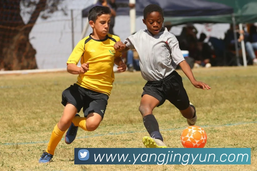 必一运动b官网服务体系