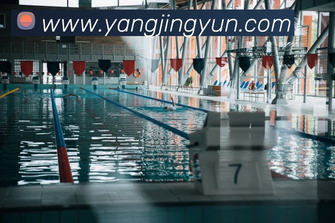 必一运动b官网APP 体育赛事宣传图